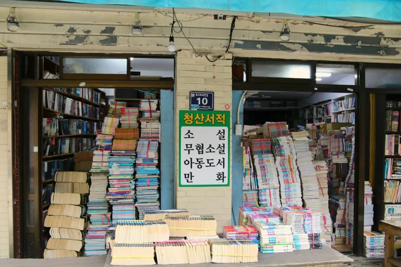 When Books Had Addresses: How America Lost 10,000 Places to Get Lost in Stories