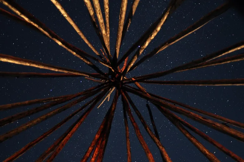 When Night Was Actually Night: What We Traded for the Light